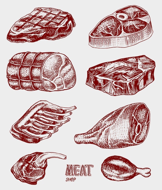 Vector beef meat pork steak chicken leg meatloaf bacon and ribs barbecue food in vintage style templates for restaurant menu emblems or badges hand drawn sketch