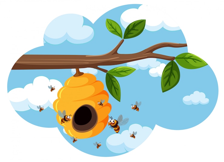 Vector a beehive on the tree branch