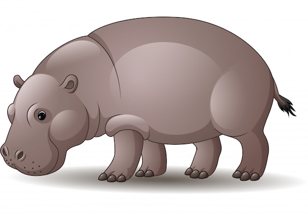 Vector beeldverhaal grappige die hippo op witte achtergrond wordt geïsoleerd