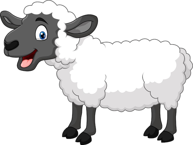 Beeldverhaal het gelukkige schapen stellen geïsoleerd op witte achtergrond