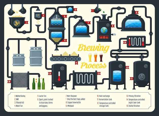 Infografica sul processo di produzione della birra. stile piatto.