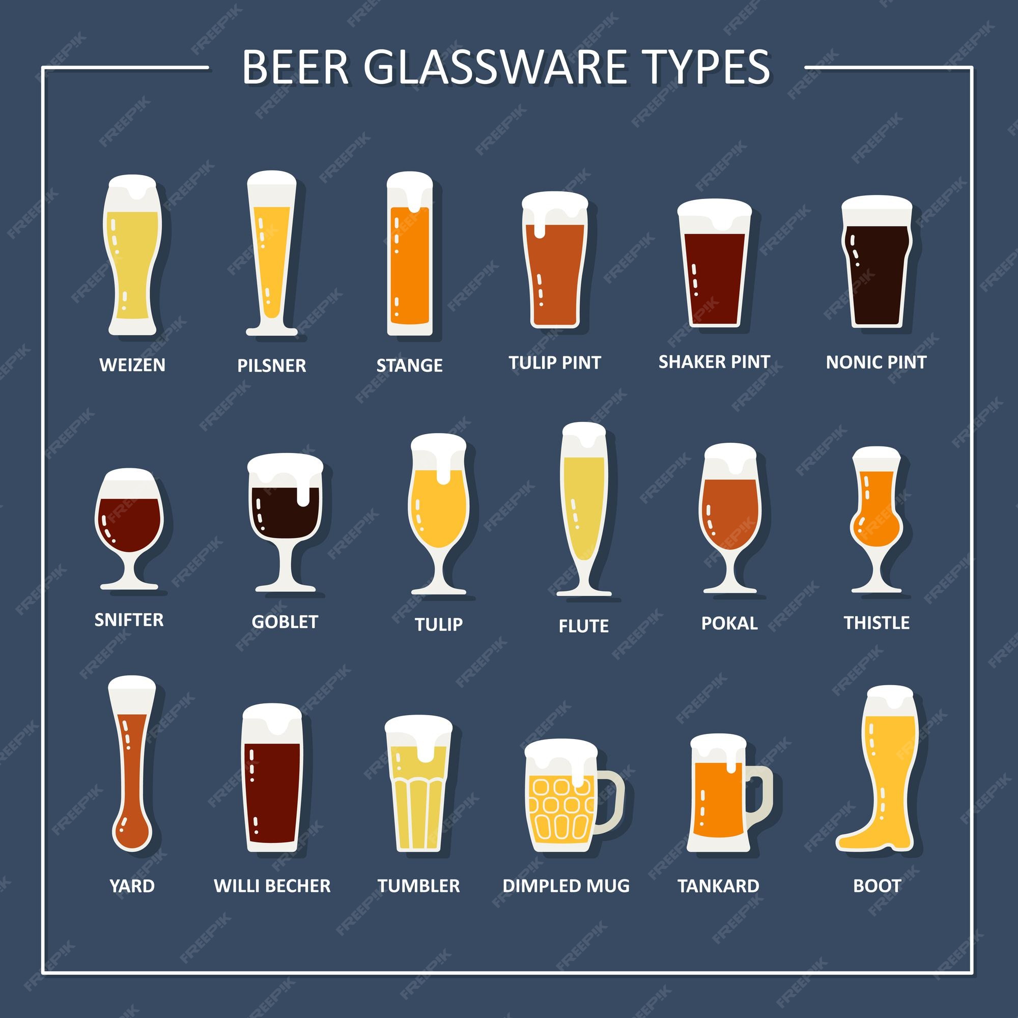 Beer glass types guide glasses and mugs Royalty Free Vector