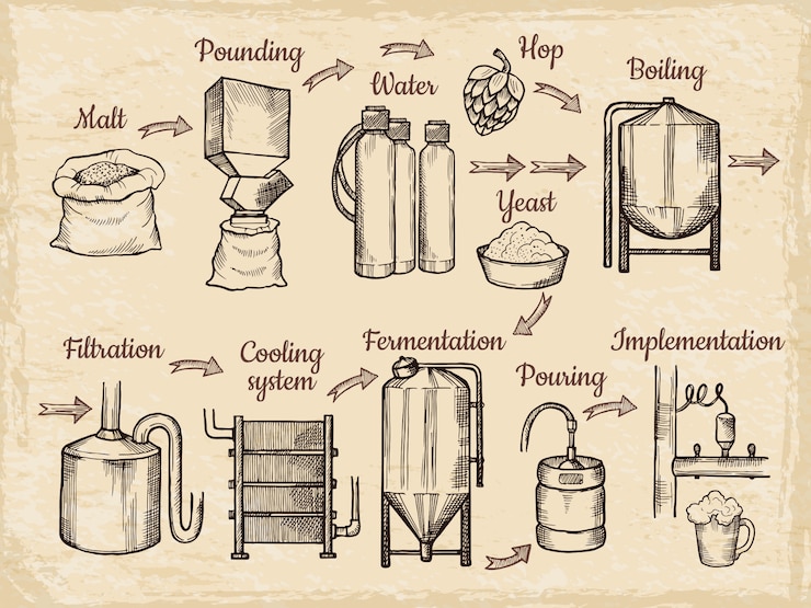 Vector beer production steps. hand drawn   brewery