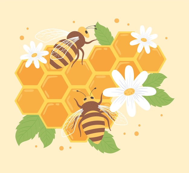 Bees and honeycomb