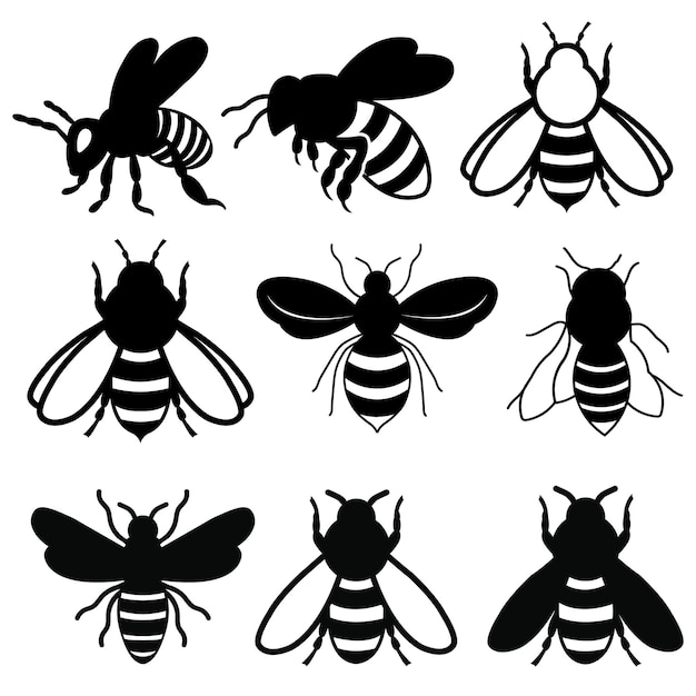 Beesilhouettepremiumtemplatevector