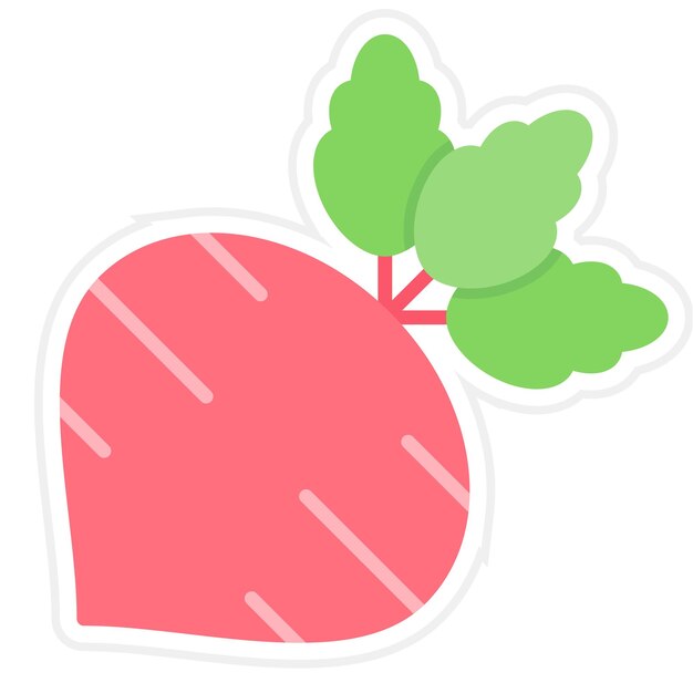 Vector beet flat illustration