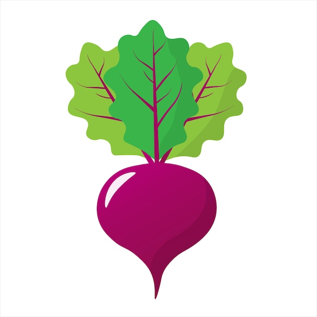 Barbabietola isolata su sfondo bianco cibo ecologico app mobile per la progettazione di siti web illustrazione vettoriale vegetale in stile cartone animato