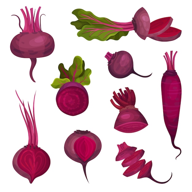 Beet Root with Green Top Leaves Cut and Whole Vector Set