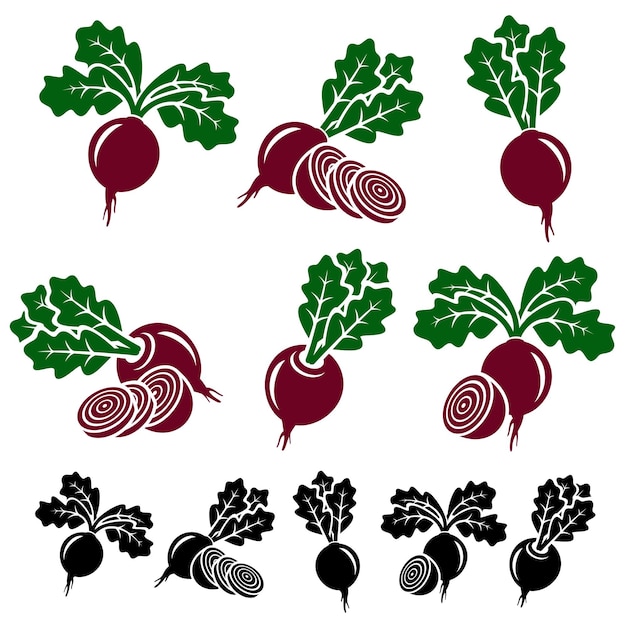 Vector beet set vector