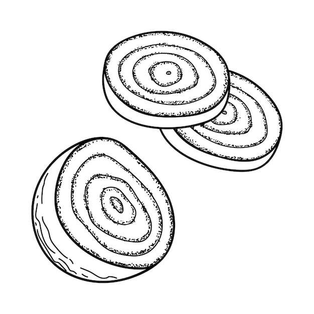 비트 슬라이스 라인 아트 농장 야채 식이 건강 제품 손으로 그린 벡터 스케치 그림