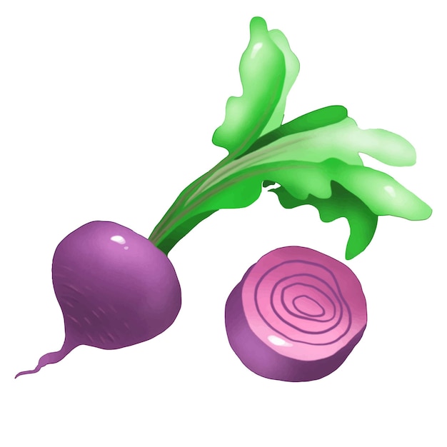 Vector beet