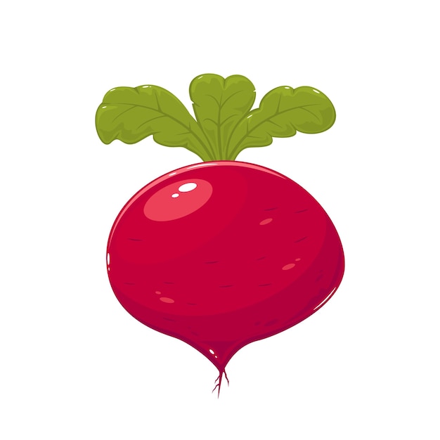 Beet