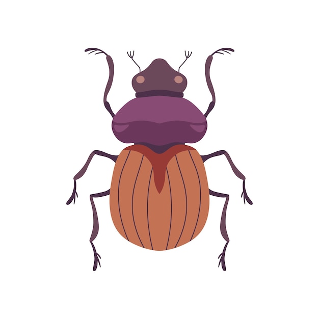 Beetle Bug Insect Species Top View Flat Vector Illustratie op witte achtergrond