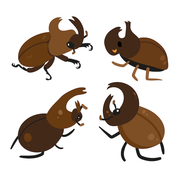 Vector beetle collection design