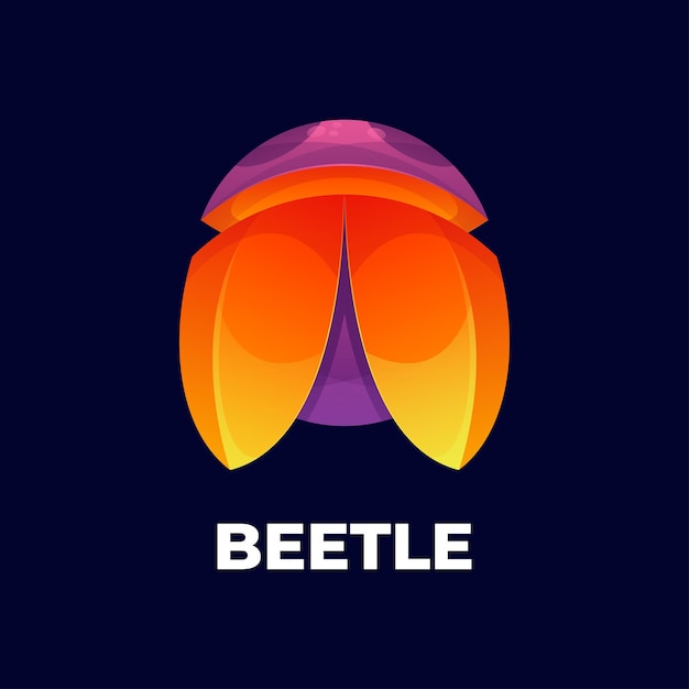 Beetle colorful