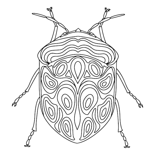 Beetle coloring book linear illustration