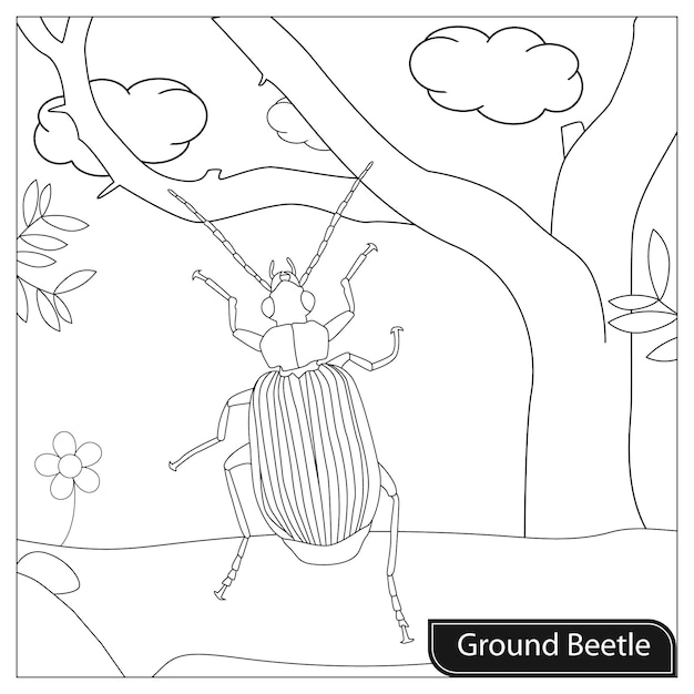 Vector beetle coloring pages for kids
