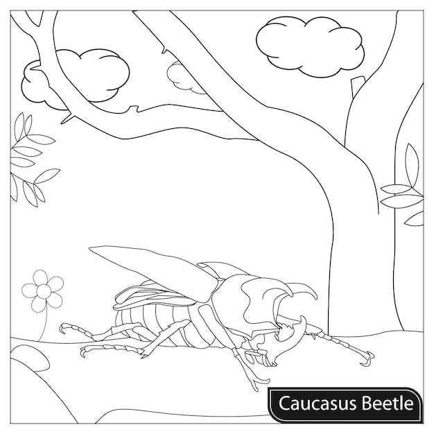 Beetle Coloring Pages for kids