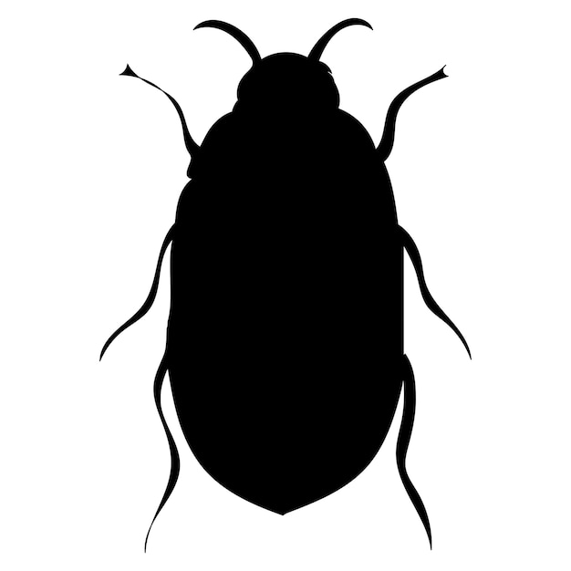 Beetle, insect black silhouette, isolated, vector