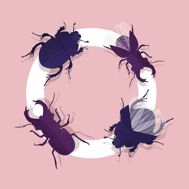 Beetles on circle isolated on gray background Set with insects Vector illustration Natural