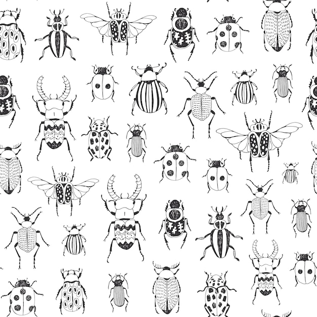 Beetles insects vector seamless pattern