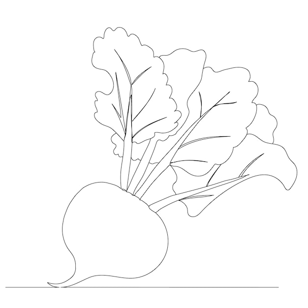 Vector beetroot drawing one continuous line vector