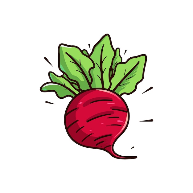 Beetroot Isolated Hand Drawn Painting Illustration