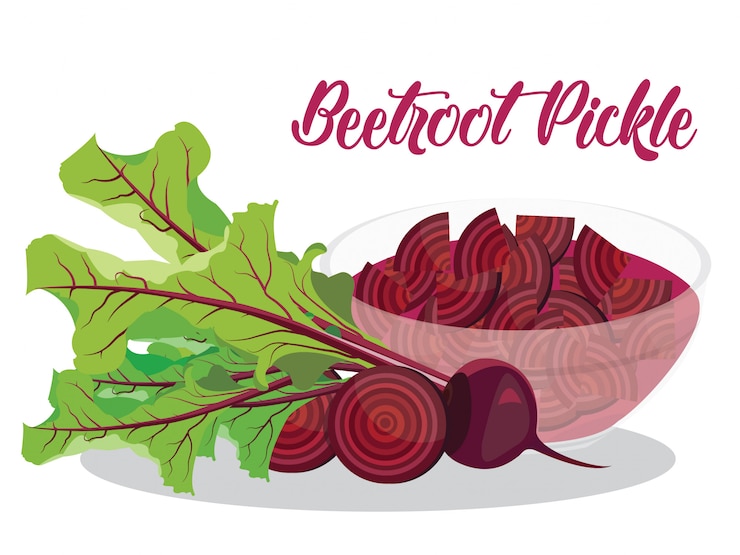 Vector beetroot pickle in white background