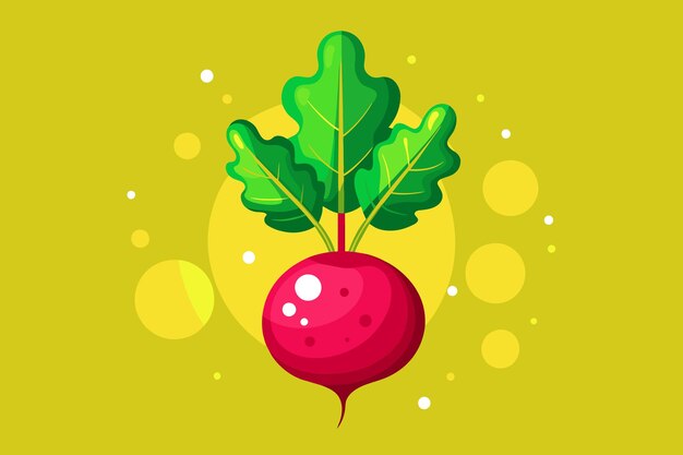 beetroot vegetable background