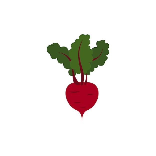 Beetroot with leaves icon in flat style on a white background