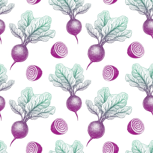 Beetroot with tops Seamless pattern Ink sketch on white background Hand drawn vector illustration