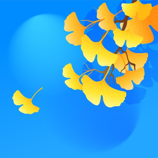 Beginning of autumn solar term, ginkgo leaves in golden autumn season, people travel on autumn