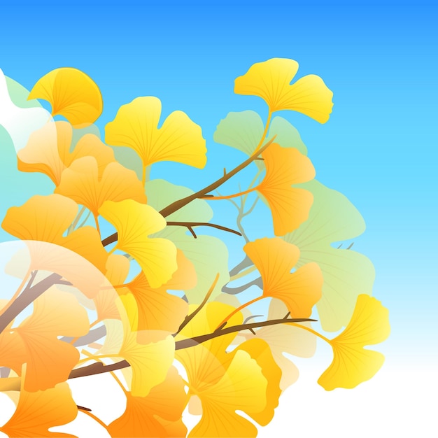 Beginning of autumn solar term, ginkgo leaves in golden autumn season, people travel on autumn