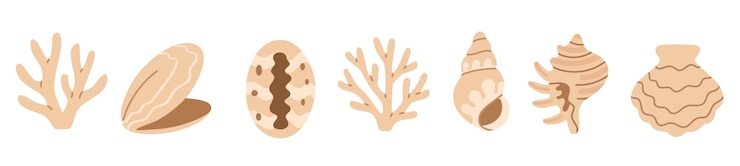 Vector beige marine vector collection featuring clams cowries conch shells and coral on white background
