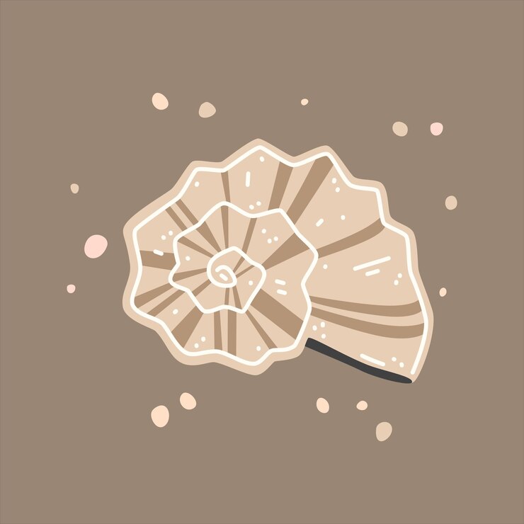 Vector beige striped seashell, rapana. vector flat illustration