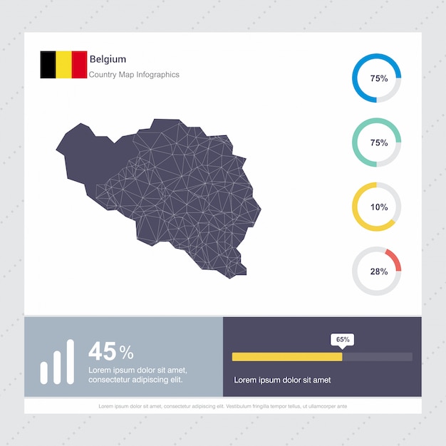 België kaart & vlag infographics sjabloon