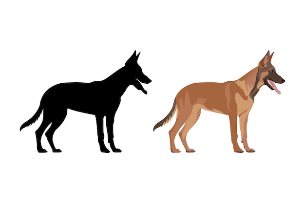 Belgische herdershond met silhouet