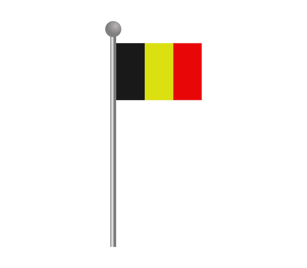 Vector belgische vlag