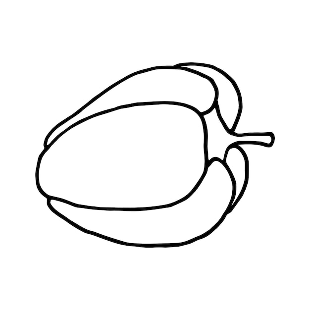 Bell pepper in doodle style