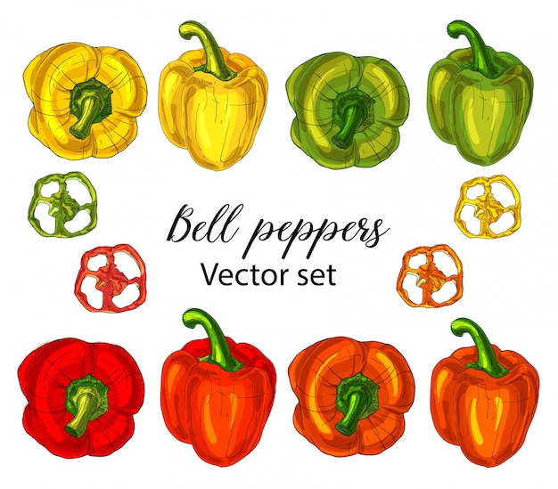 Vector bell peppers set