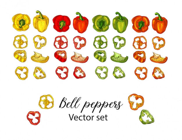 Vector bell peppers set