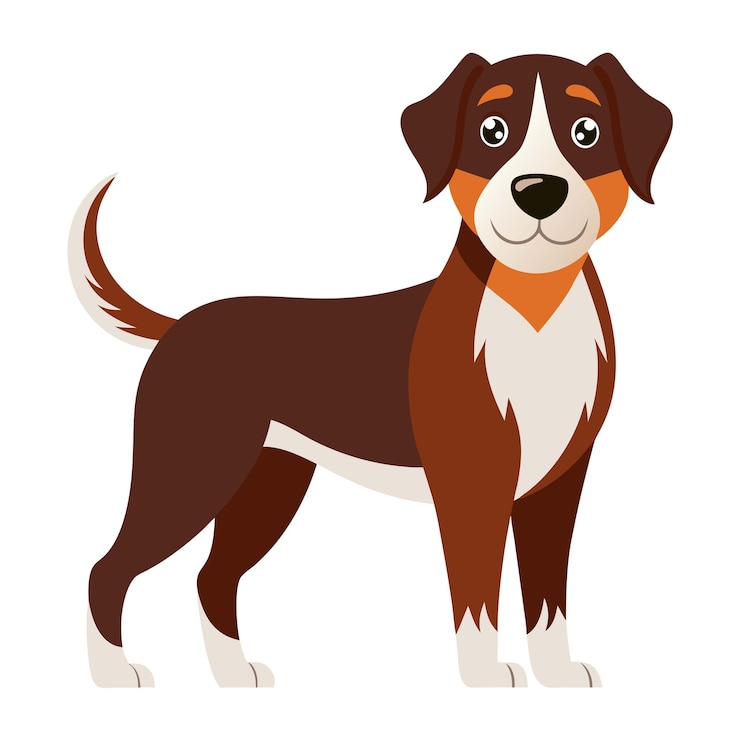 Vector a bella dog isolated on white