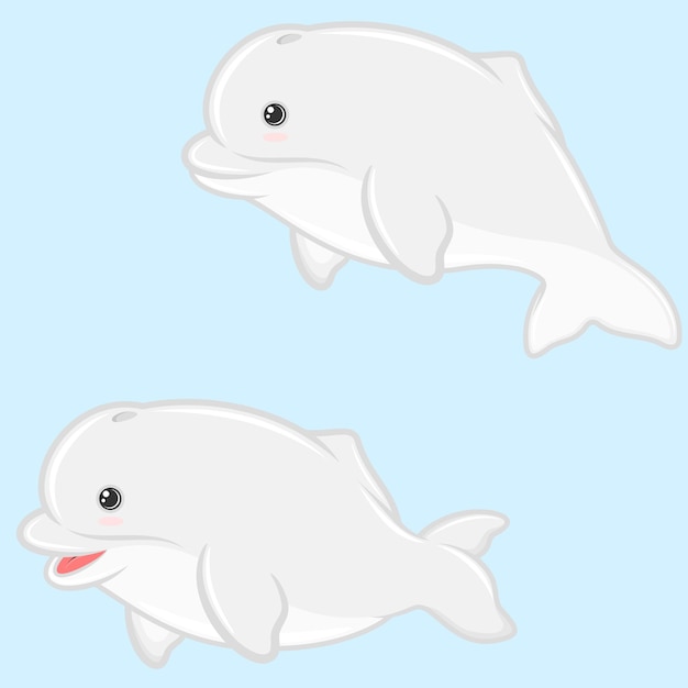 Beluga illustration in cartoon shape