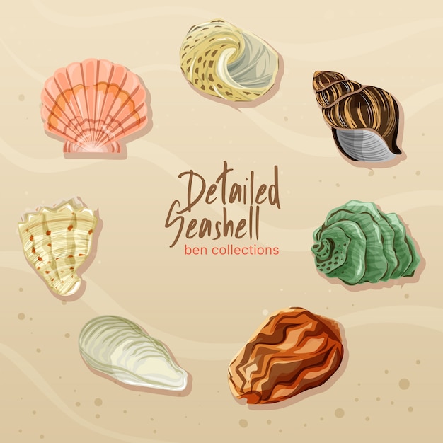 Ben Detailed Seashell