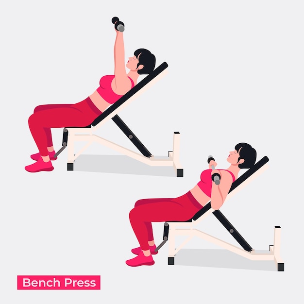 Vector bench press exercise woman workout fitness aerobic and exercises