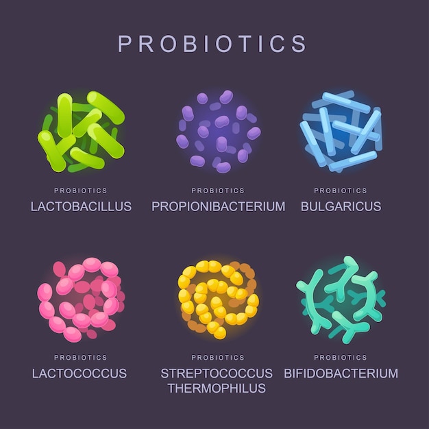 Batteri benefici microrganismi probiotici per la salute umana