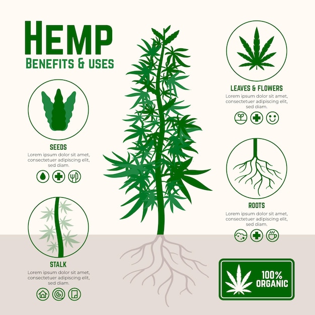 Benefits of cannabis hemp infographic