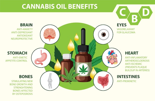 Vector benefits of cbd for physical health diagram