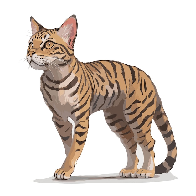 Bengal Cat Editable Vector Illustration Graphic with Editable Elements