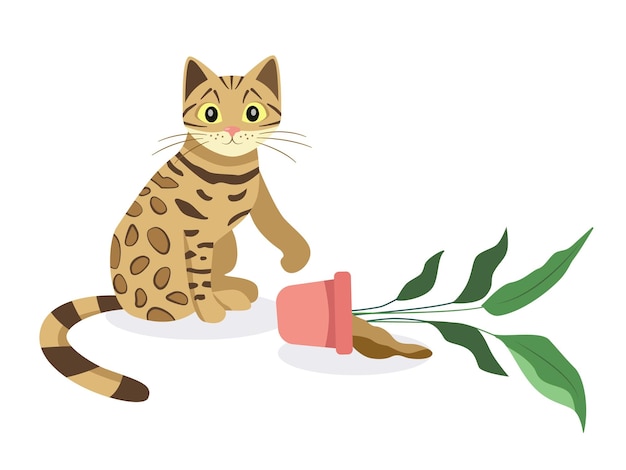 Bengal cat with a flower pot. Vector illuctration of a cute kitty. Home leopard